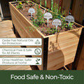 Wooden planter box with plants and labels, on a wooden deck.