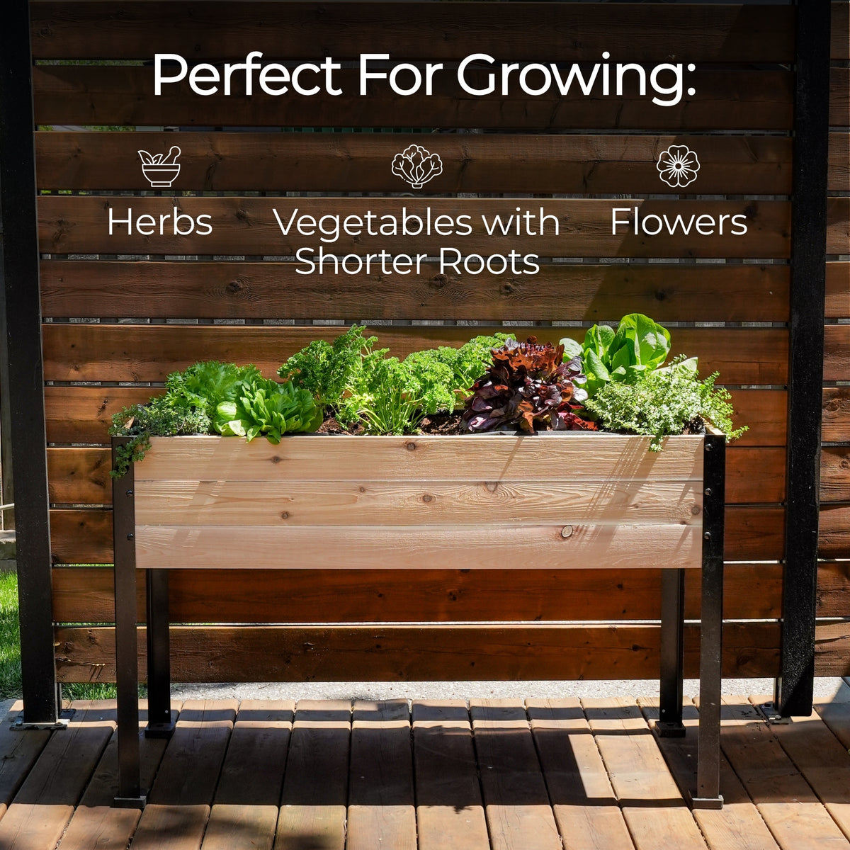 18″ x 48″ Shallow Root Raised Garden Bed - 30″ TALL / Select Grade