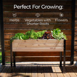 18″ x 48″ Shallow Root Raised Garden Bed - 30″ TALL / Select Grade