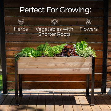 18″ x 48″ Shallow Root Raised Garden Bed - 30″ TALL / Select Grade