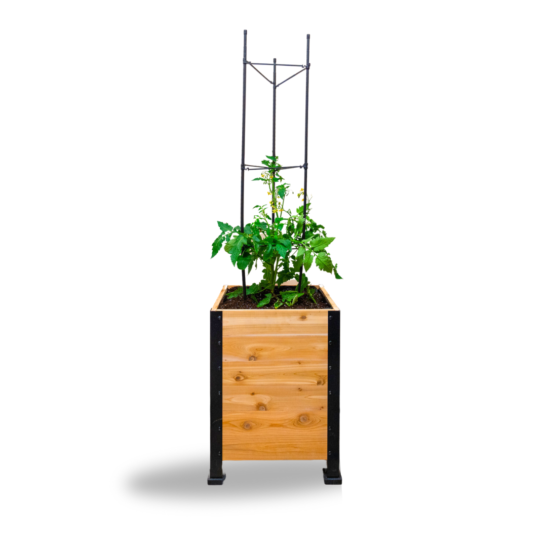 Vegetable Cage – rectangular cedar planter box for outdoor and garden use