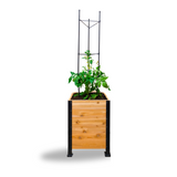 Vegetable Cage