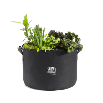 Grow Bag (10 Gallon) – rectangular cedar planter box for outdoor and garden use