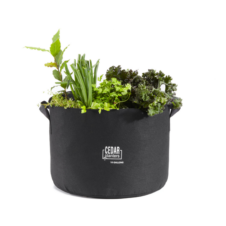 Grow Bag (10 Gallon) – rectangular cedar planter box for outdoor and garden use