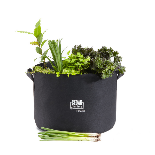 10 gallon plant pots 10 Gallon Breathable Grow Bag – Cedar Planters