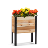 Wooden planter box with colorful flowers on a white background