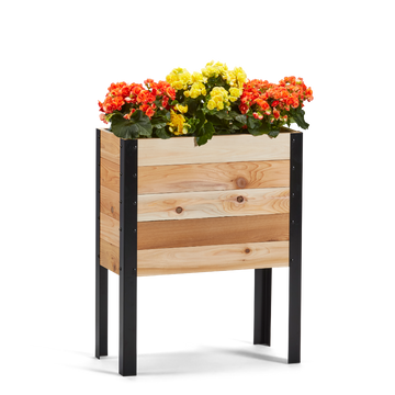 Wooden planter box with colorful flowers on a white background