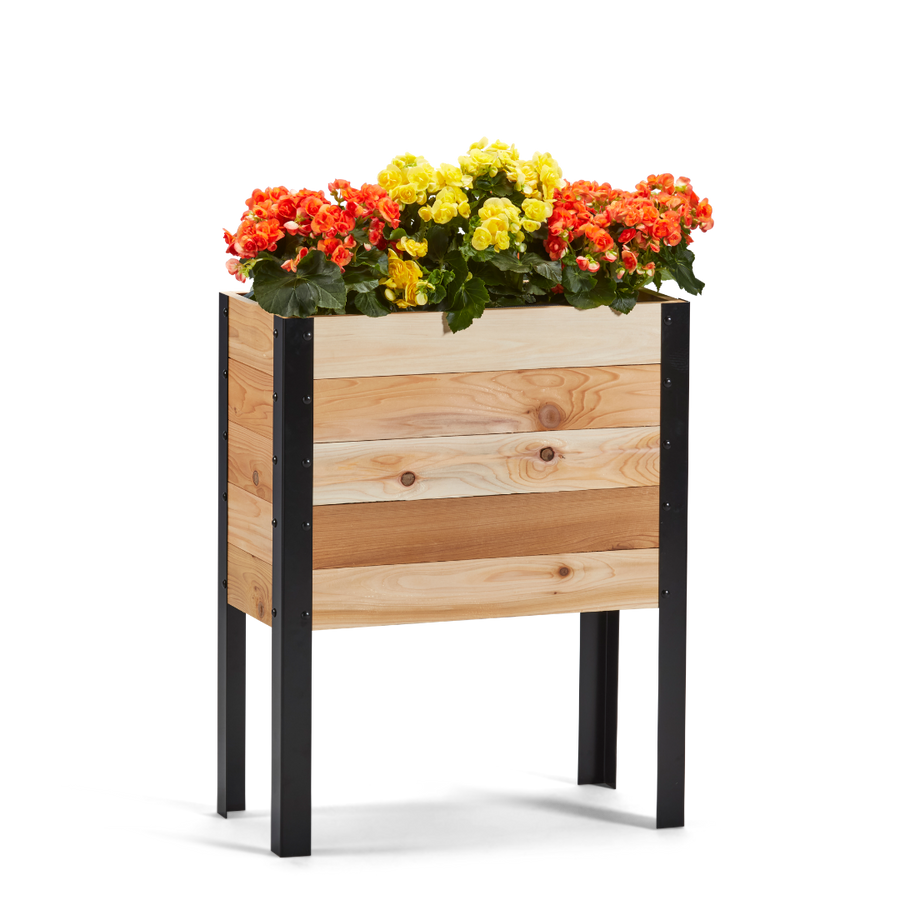Wooden planter box with colorful flowers on a white background