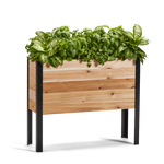Wooden planter box with green plants on a white background