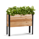 Wooden planter box with green plants on a white background