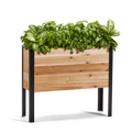Wooden planter box with green plants on a white background