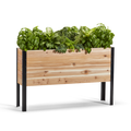 Wooden raised garden bed with green plants on a white background