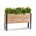 Wooden raised garden bed with green plants on a white background