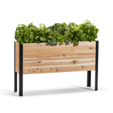 Wooden raised garden bed with green plants on a white background