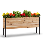 Wooden planter box with flowers on a white background