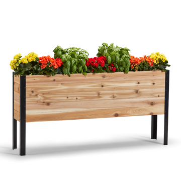 Wooden planter box with flowers on a white background