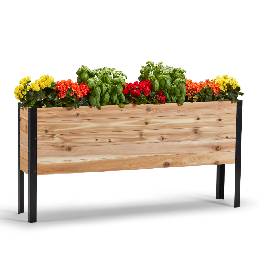 Wooden planter box with flowers on a white background