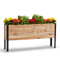 Wooden planter box with flowers on a white background