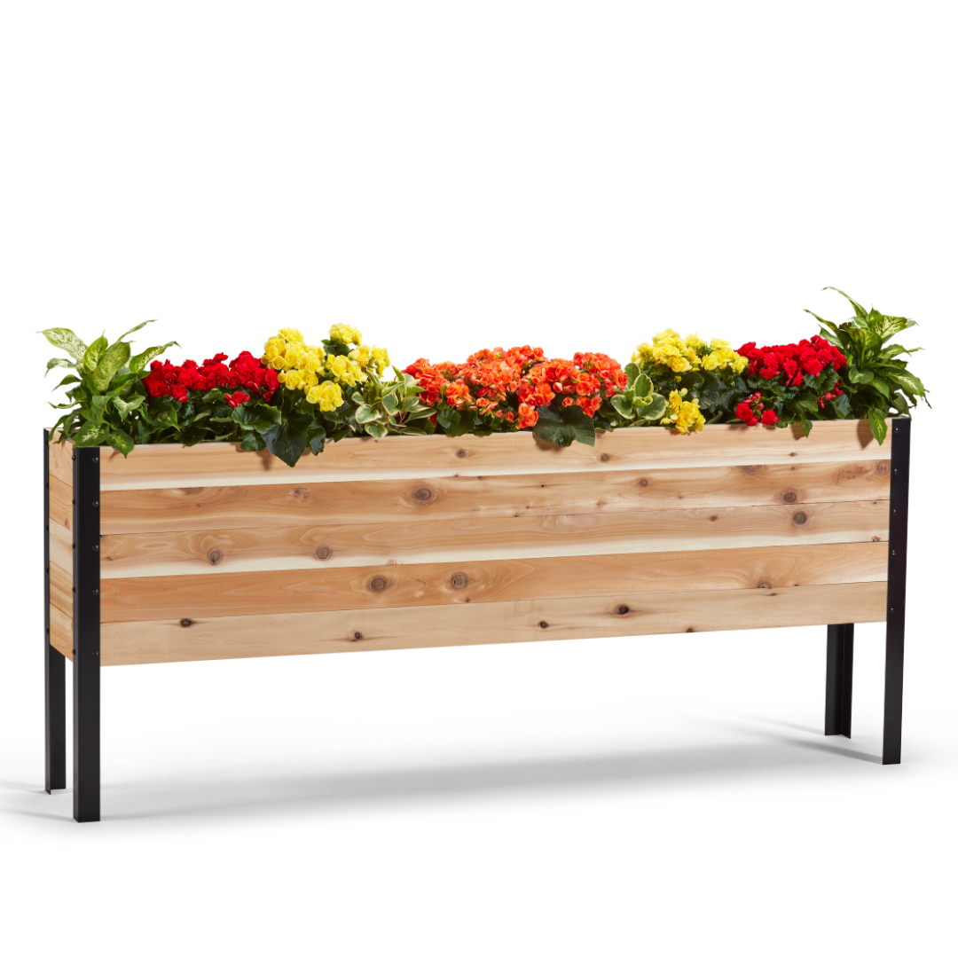 Wooden planter box with colorful flowers on a white background