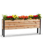 Wooden planter box with colorful flowers on a white background