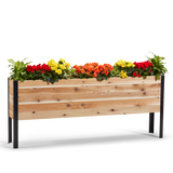 Wooden planter box with colorful flowers on a white background