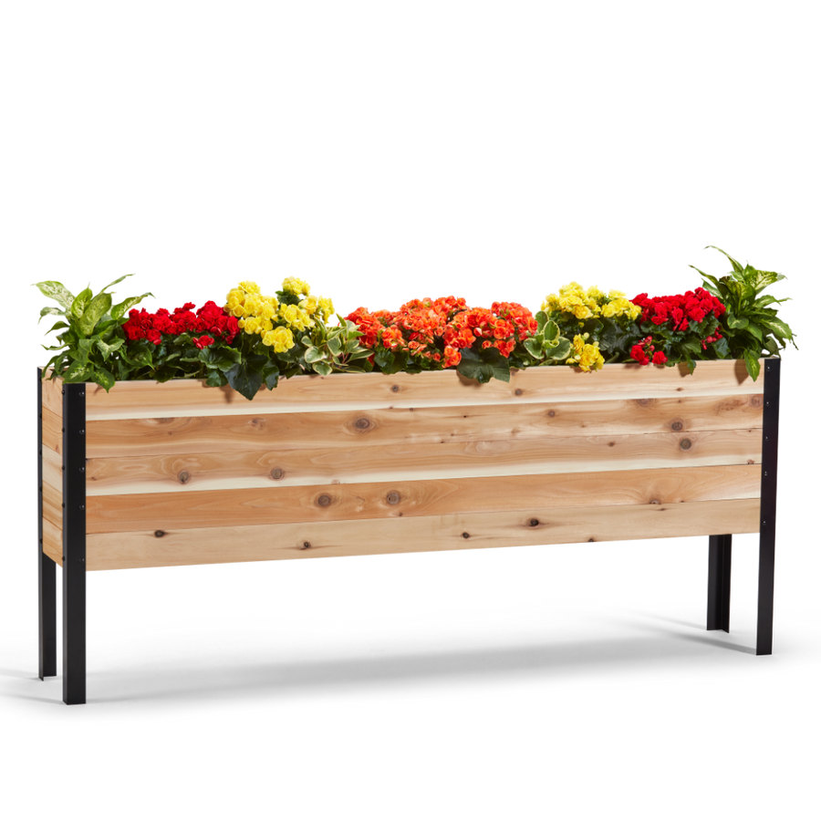 Wooden planter box with colorful flowers on a white background