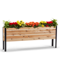 Wooden planter box with colorful flowers on a white background