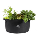 Grow Bag (15 Gallon) – rectangular cedar planter box for outdoor and garden use