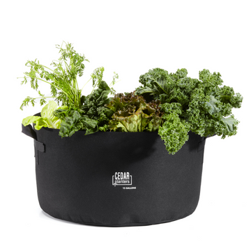 Grow Bag (15 Gallon) – rectangular cedar planter box for outdoor and garden use