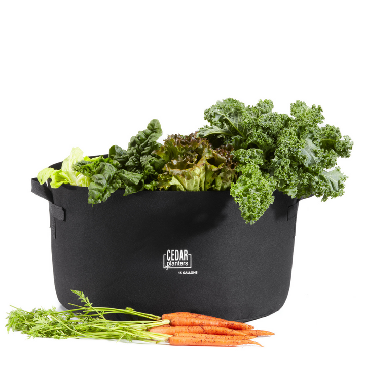 Grow Bag (15 Gallon) – rectangular cedar planter box for outdoor and garden use