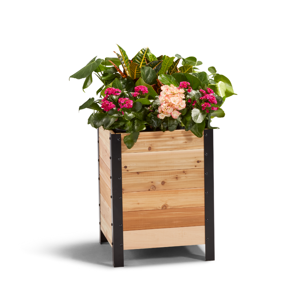 cheap box planters 18" x 18" Planter Box 24" TALL SHIPS IN FEBRUARY