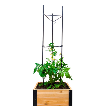 Vegetable Cage – rectangular cedar planter box for outdoor and garden use