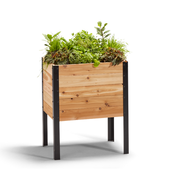 18″ x 24″ Raised Garden Bed - 30 TALL – rectangular cedar planter box for outdoor and garden use