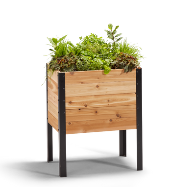 18″ x 24″ Raised Garden Bed - 30