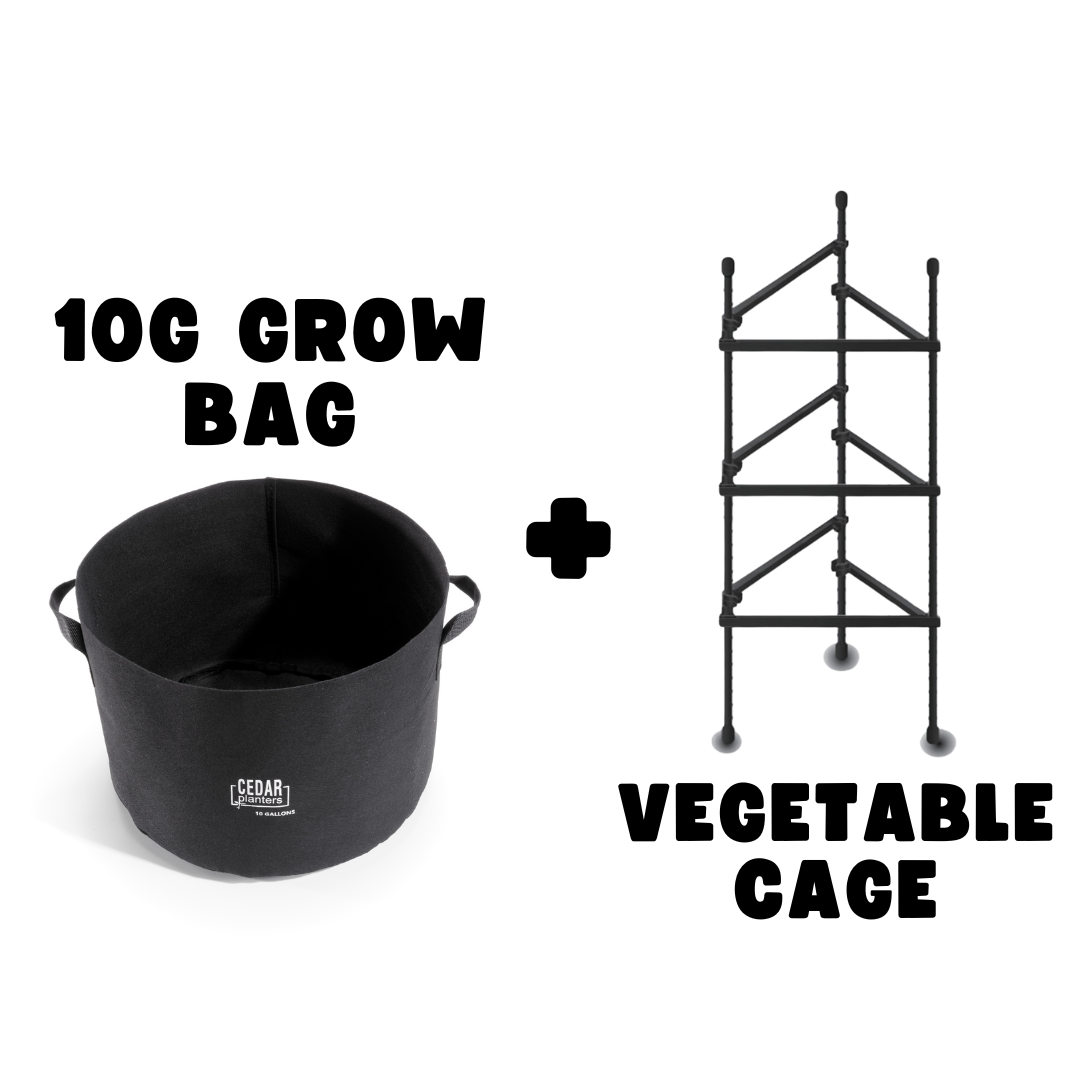 Veggie Grow Duo