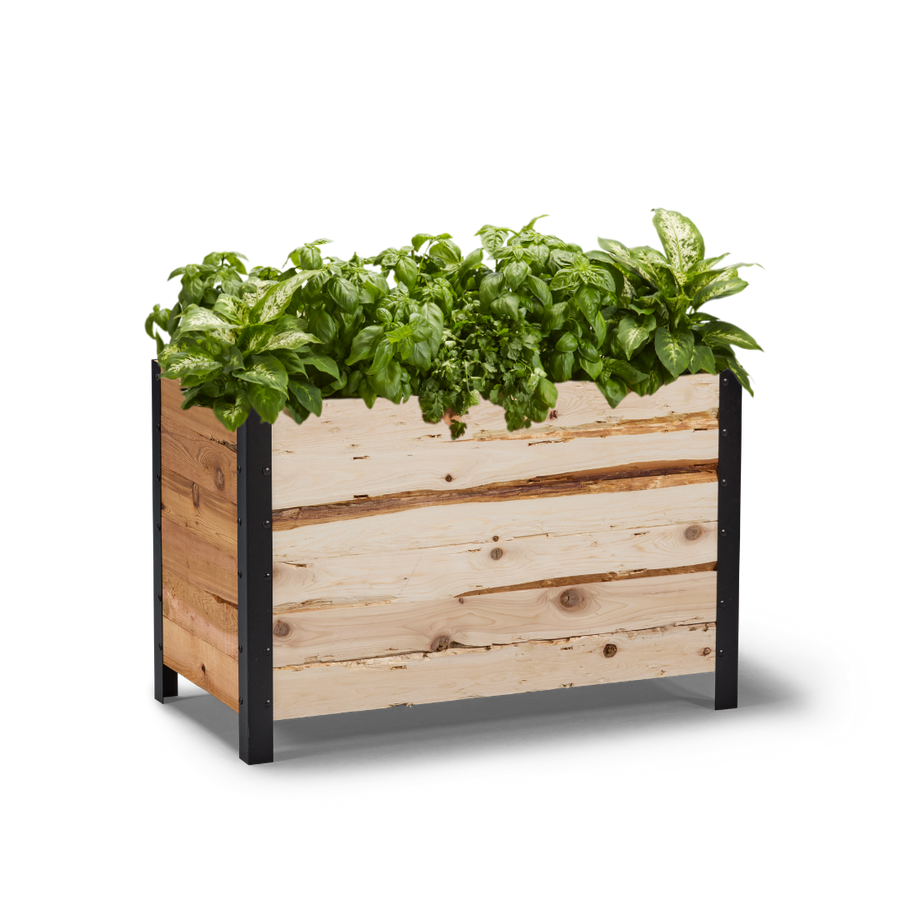 18" x 36" Planter Box - 24" TALL / Garden Grade