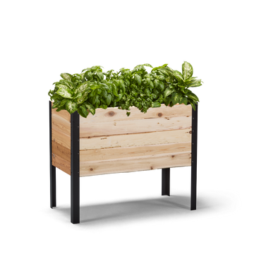 11.5″ x 36″ Deep Root Raised Garden Bed - 30″ TALL / Garden Grade