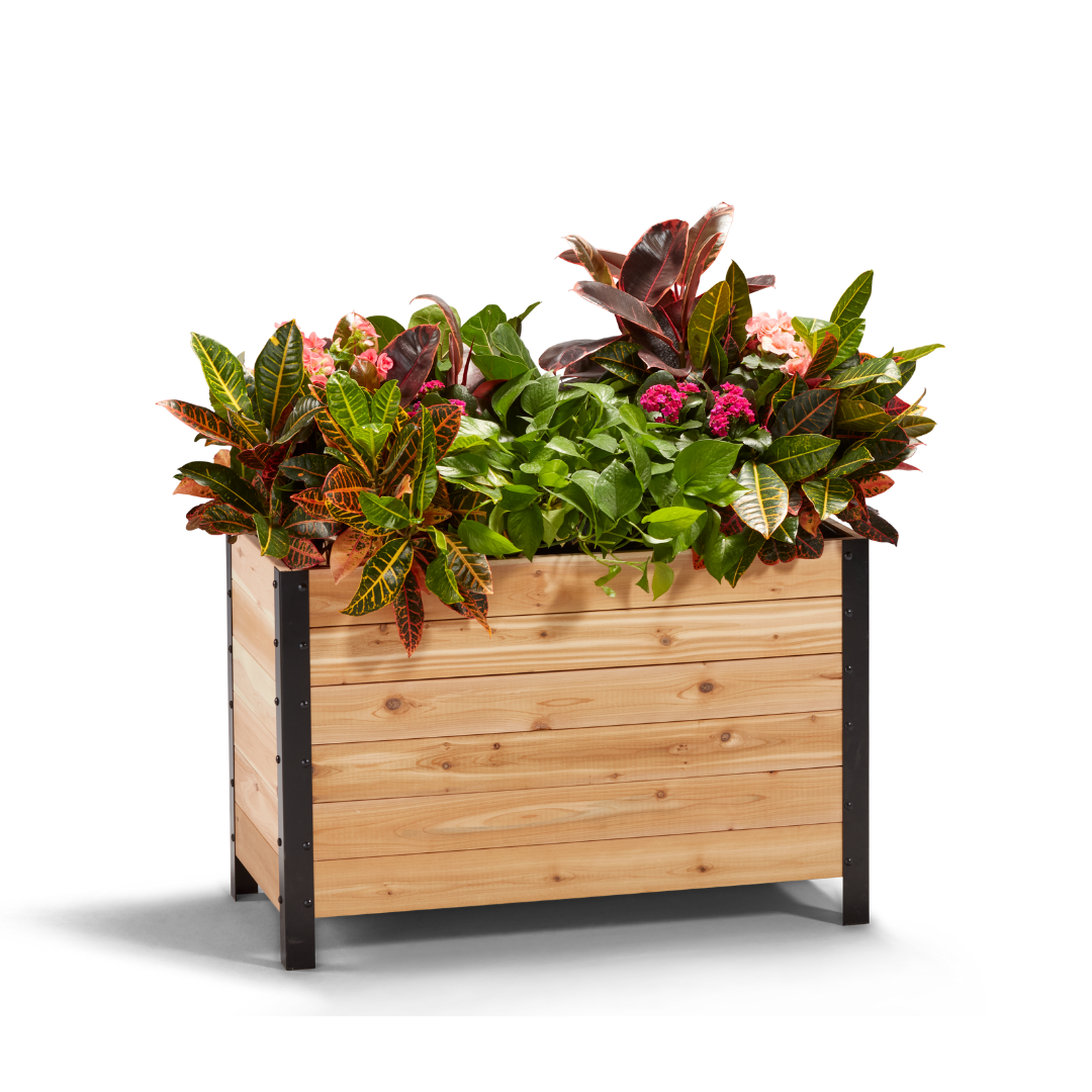 18 x 36 Planter Box - 24 TALL – rectangular cedar planter box for outdoor and garden use