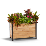18 x 36 Planter Box - 24 TALL – rectangular cedar planter box for outdoor and garden use