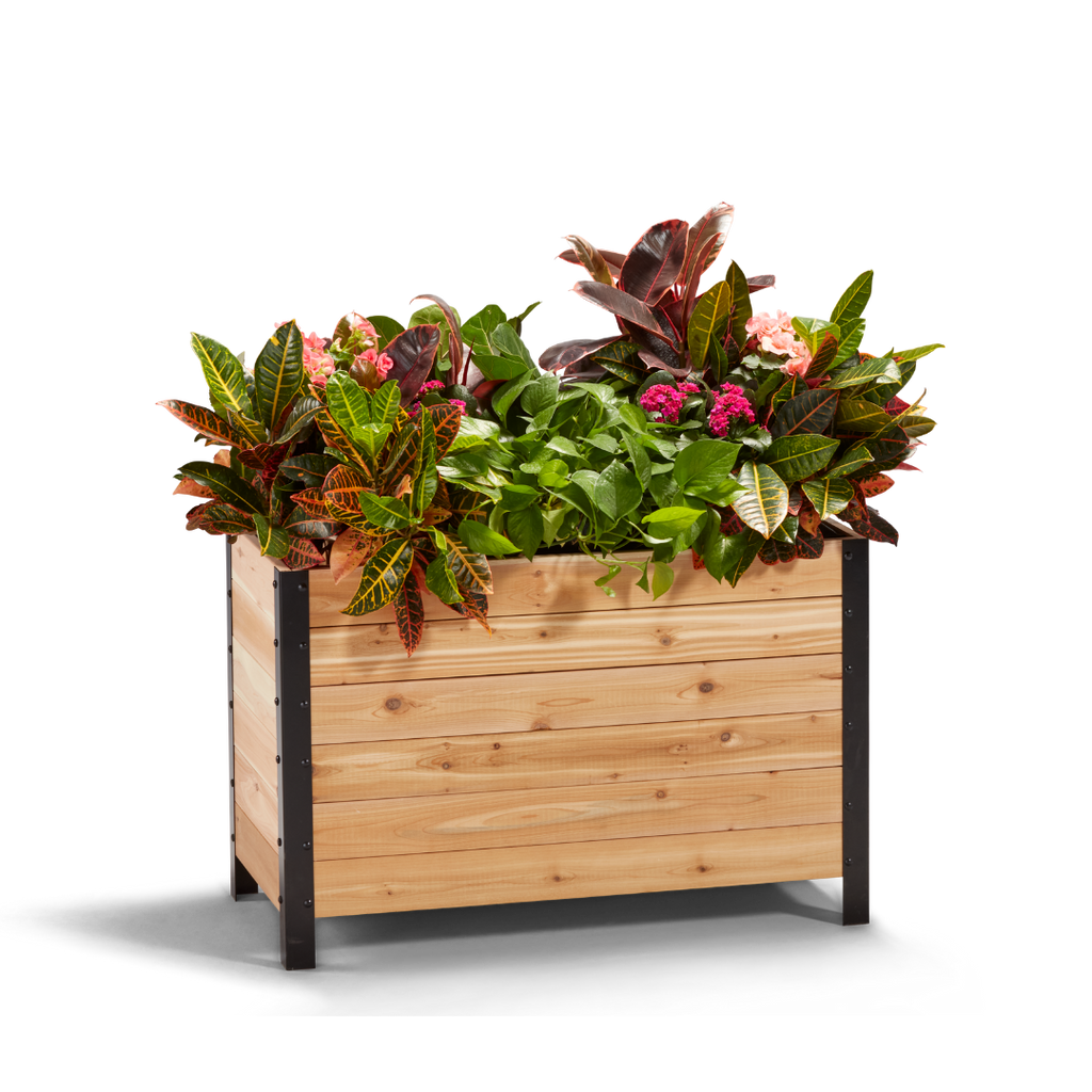 18" x 36" Planter Box - 24" TALL
