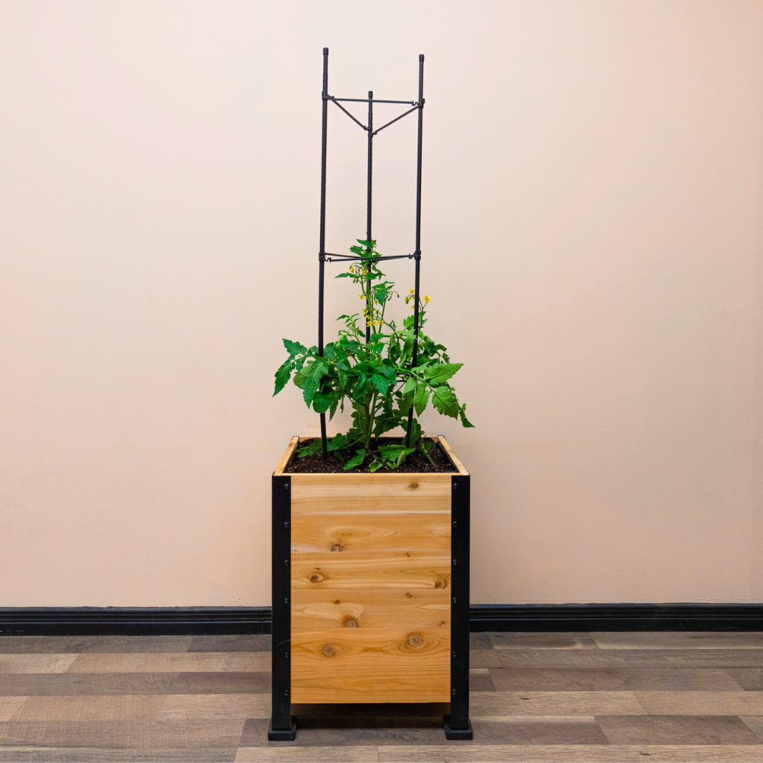 Vegetable Cage – rectangular cedar planter box for outdoor and garden use