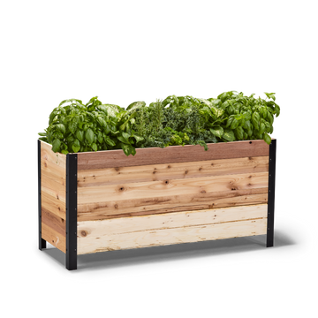 18" x 48" Planter Box - 24" TALL / Garden Grade