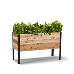 Wooden raised garden bed with herbs on a white background. Rustic style
