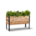 Wooden raised garden bed with herbs on a white background. Rustic style