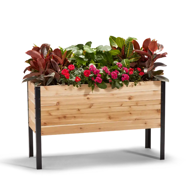 cedar planting box 18