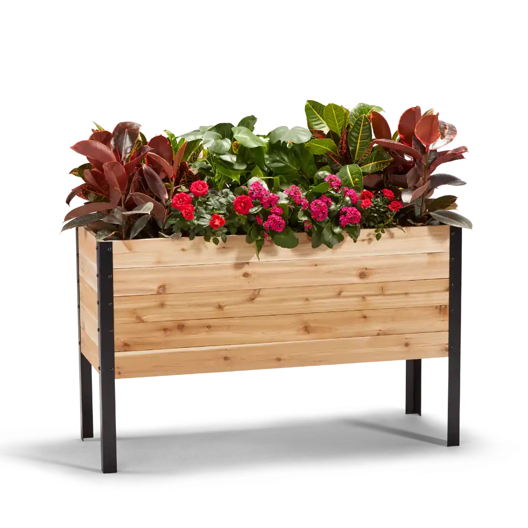 Black Friday Bundle – rectangular cedar planter box for outdoor and garden use