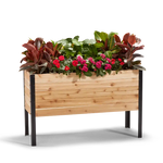 Black Friday Bundle – rectangular cedar planter box for outdoor and garden use