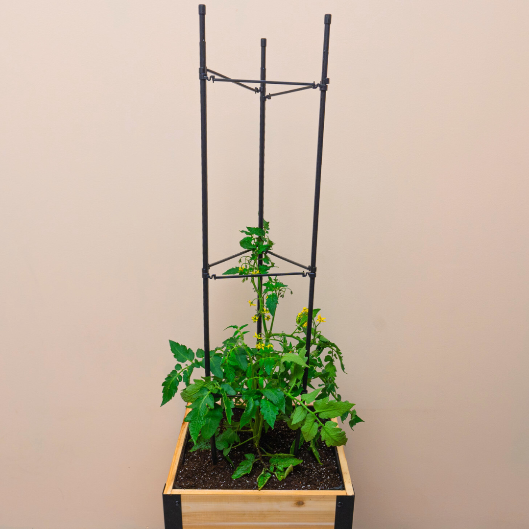 Vegetable Cage – rectangular cedar planter box for outdoor and garden use