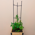 Vegetable Cage – rectangular cedar planter box for outdoor and garden use
