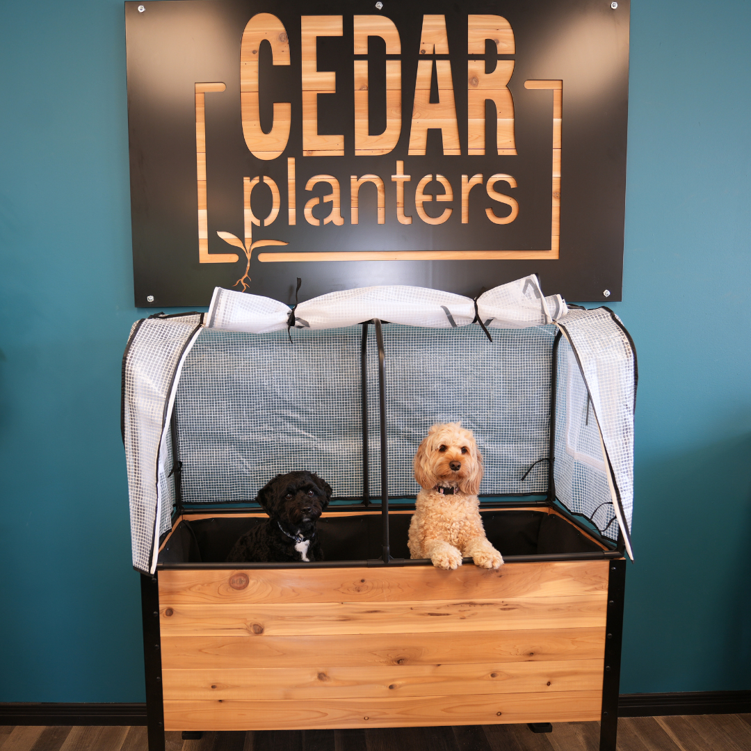 Greenhouse Cover – rectangular cedar planter box for outdoor and garden use